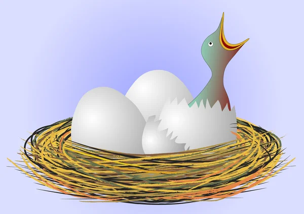 Petit oiseau dans le nid — Image vectorielle