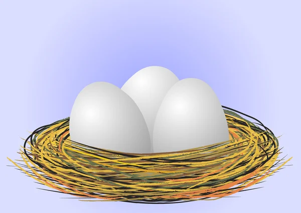 Яйця в гнізді — стоковий вектор