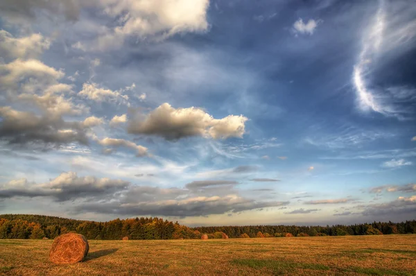 여름-haymaking 시간 — 스톡 사진
