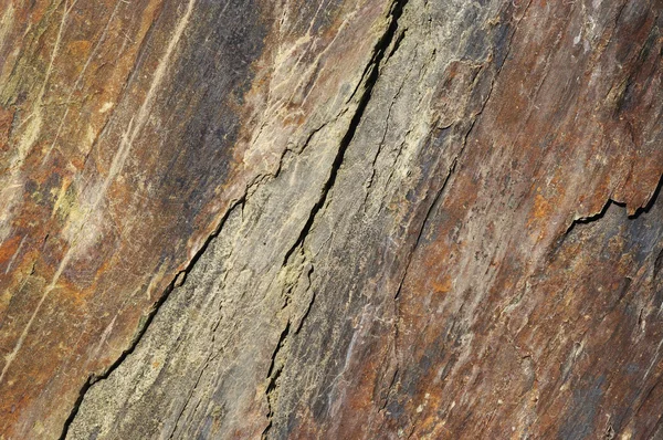 Ragged surface of bluestone — Stock Photo, Image