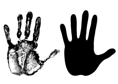 Palm clipart