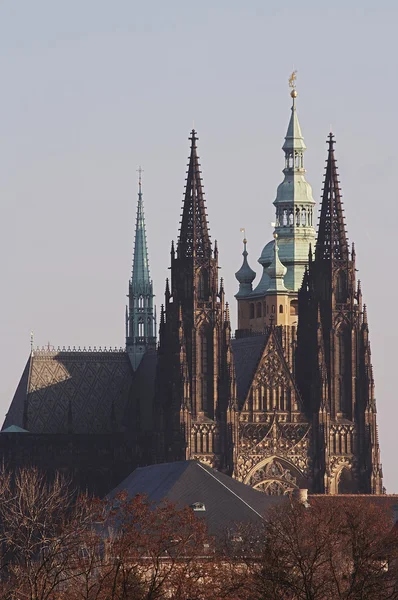 Katedralen St Vitus — Stockfoto