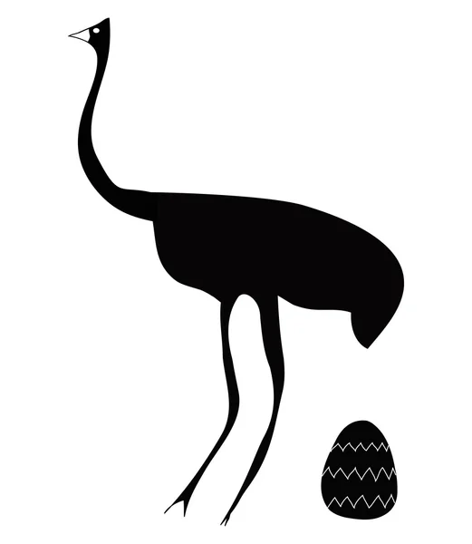 大型の鳥の卵 — ストック写真