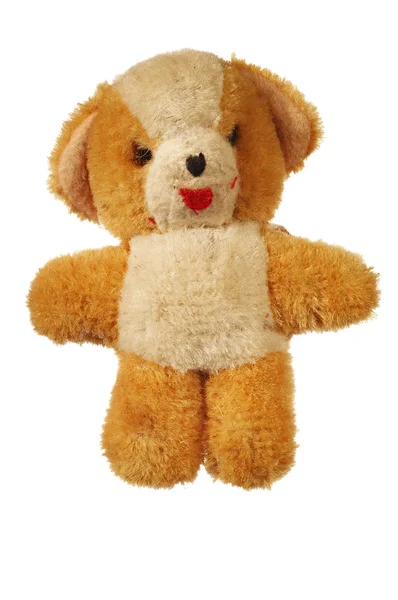Pelziger Teddybär — Stockfoto