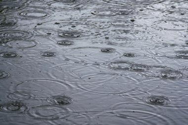 ringen op water - regen