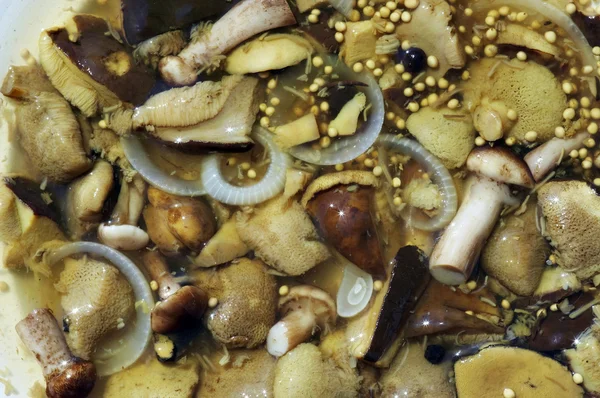 盐渍的蘑菇 — 图库照片