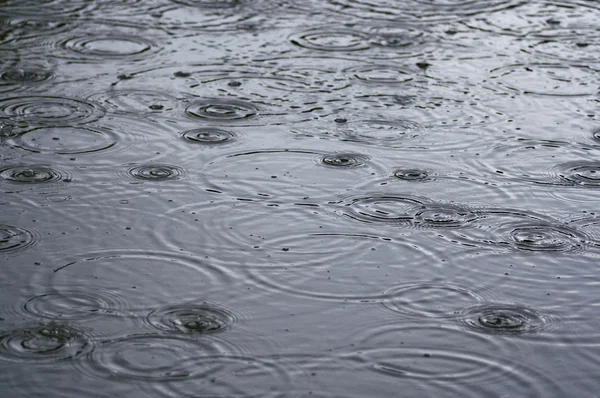 Кольца на воде - дождь — стоковое фото