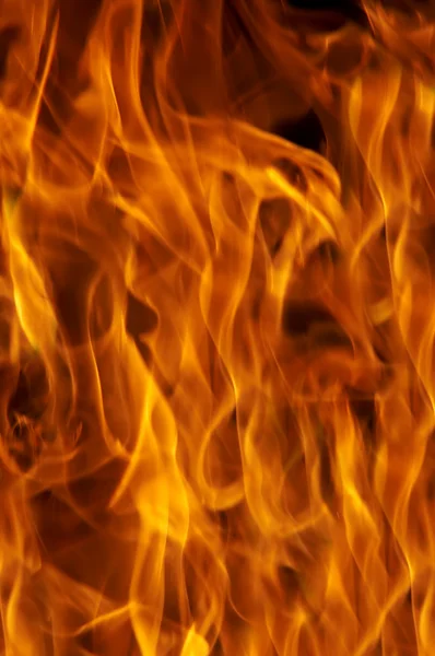 Oheň - plameny — Stock fotografie