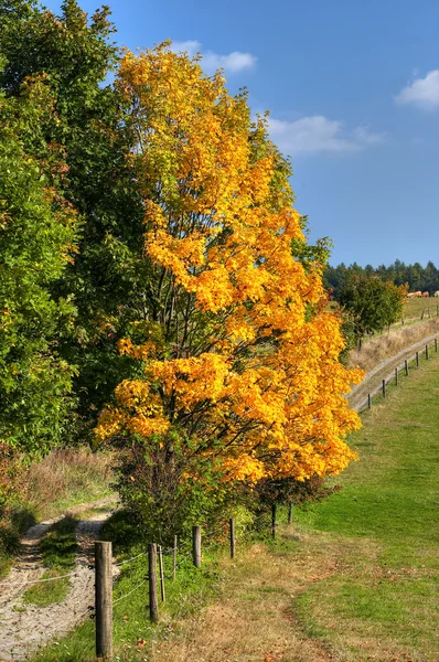 Landweg en herfst landschap — Stockfoto