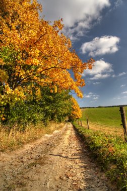 Country road and autumn rural landscape