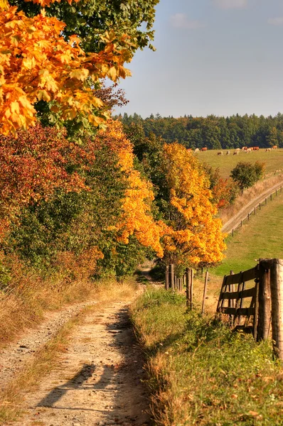 País estrada e Outono paisagem — Fotografia de Stock