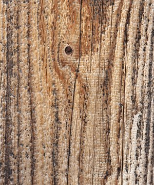 Wood texture clipart