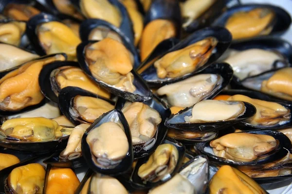 Mussels Royalty Free Stock Photos