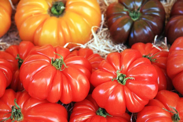 Sortido de tomate — Fotografia de Stock