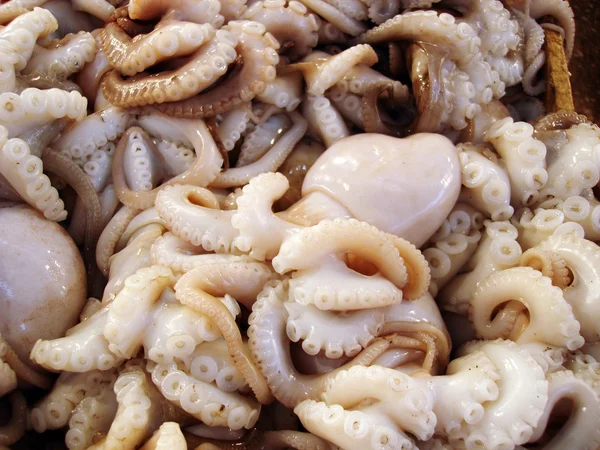 Fresh octopus — Stock Photo, Image