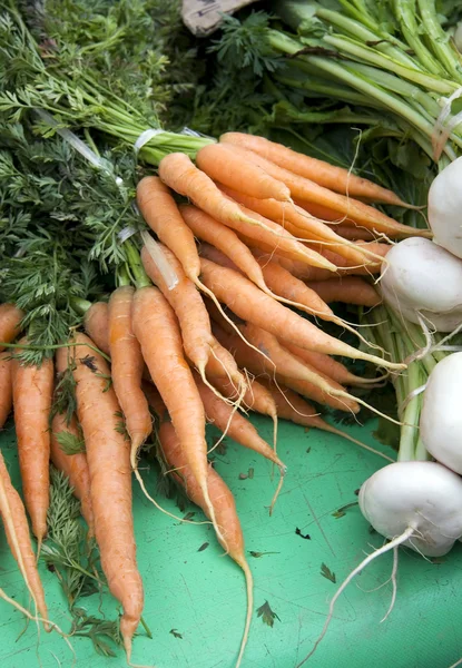 Zanahorias y nabos — Foto de Stock