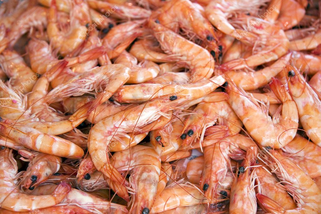 Prawn Background — Stock Photo © rixipix #2315992