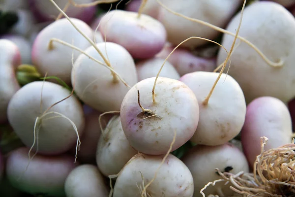 Baby turnips — Stock Photo, Image