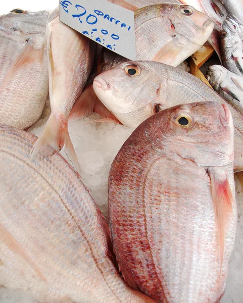 Mercado grego do peixe — Fotografia de Stock