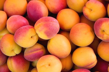 Apricots background clipart