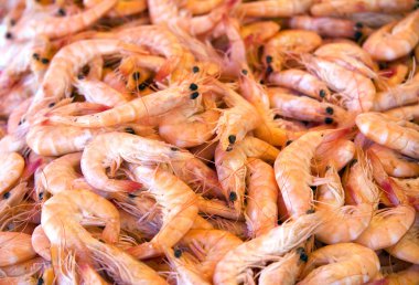 Prawns at market clipart