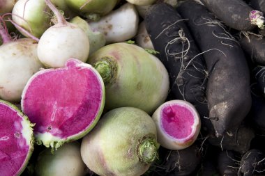 Black and watermelon radishes clipart