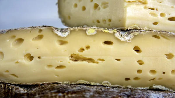法国奶酪截面 — 图库照片