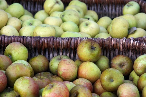 Paniers de pommes — Photo