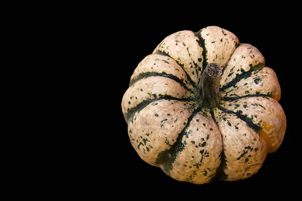 Pumpkins isolated — Stock Photo, Image