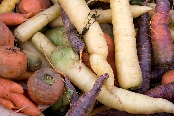 Разноцветная морковь — стоковое фото