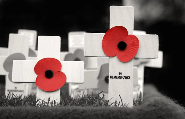 In Remembrance — Stock Photo, Image