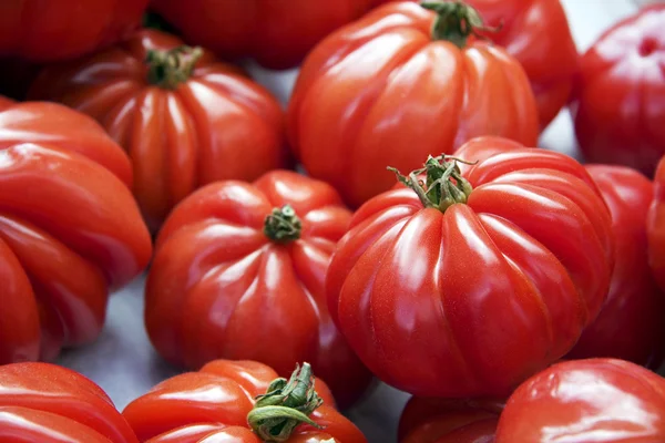 Meer tomaten — Stockfoto