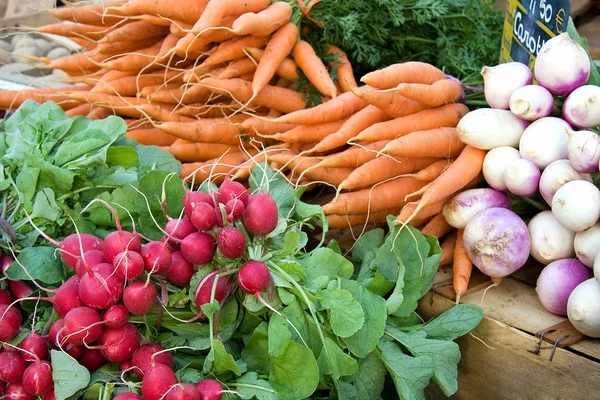 Vegetable selection — Stock Photo, Image