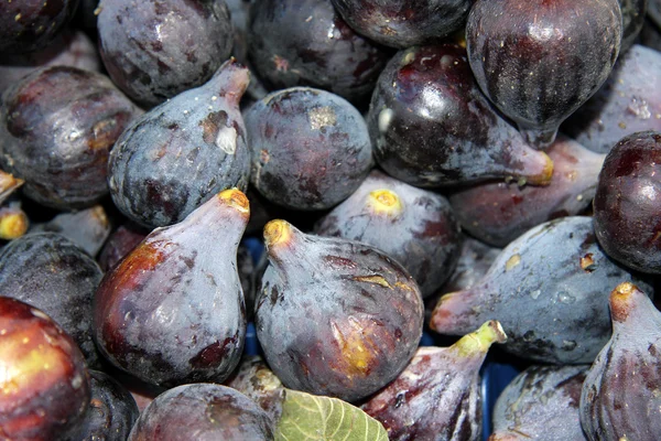 Fresh Figs — Stock Photo, Image