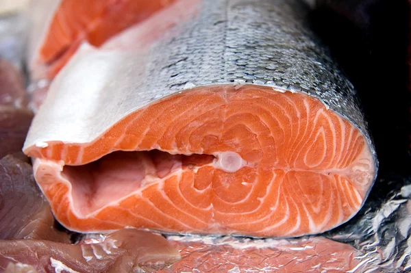 Salmon — Stock Photo, Image