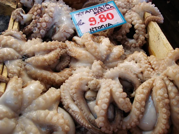 Chobotnice na prodej — Stock fotografie