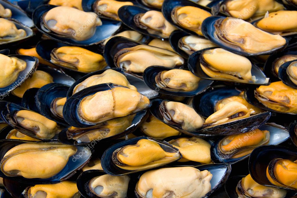 Fresh Mussel Background — Stock Photo © Rixipix #2431274