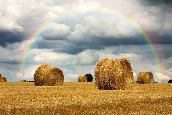 stock image Harvest strorm with rainbow