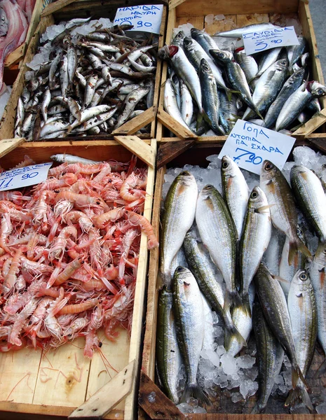 Fisk sortiment — Stockfoto