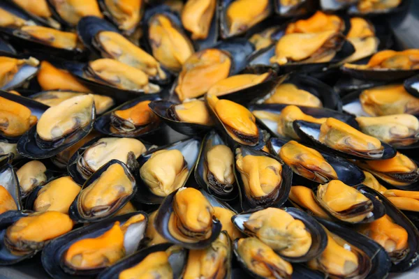 Mussels at the market — Stock Photo, Image