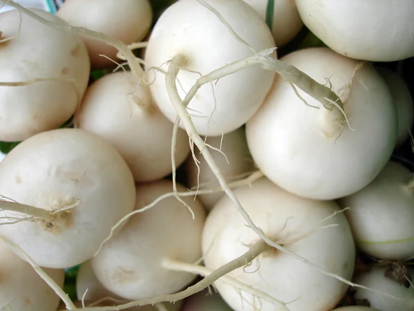 Baby turnips — Stock Photo, Image