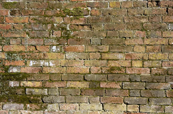 Antiguo muro de ladrillo con musgo — Foto de Stock