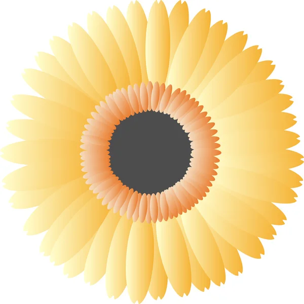 Orangefarbene Vektorblume auf weißem Hintergrund — Stockvektor