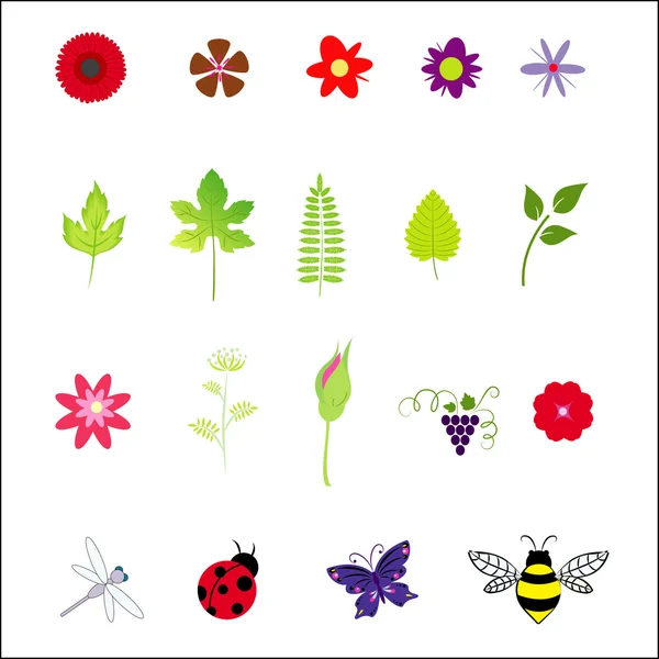Éléments floraux vectoriels et insectes — Image vectorielle