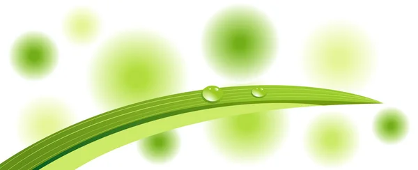 Πράσινο φύλλα με δροσοσταλίδες — Διανυσματικό Αρχείο