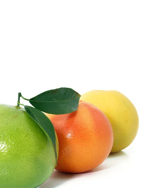 stock image Fresh grapefruits