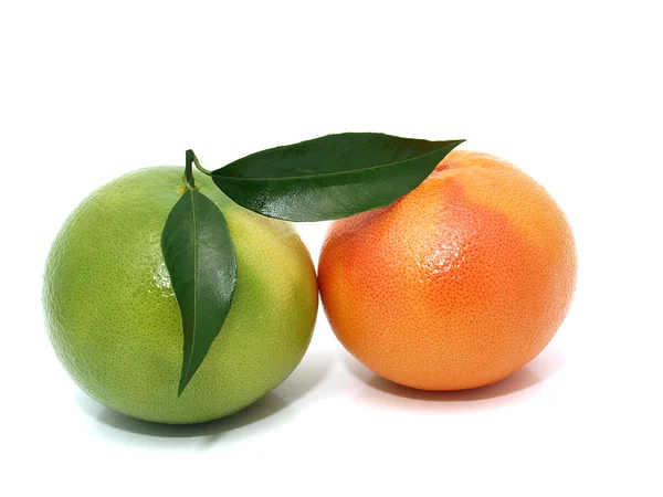 Fresh grapefruits — Stock Photo, Image