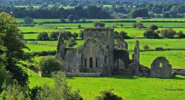 Old Abbey in Cashel clipart