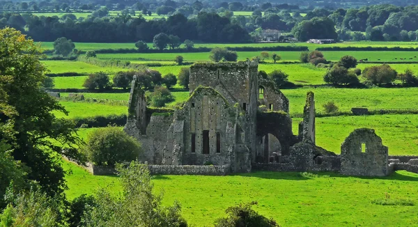 Vecchia abbazia di Cashel — Foto Stock
