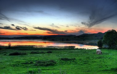 Horse meadow at sunset clipart